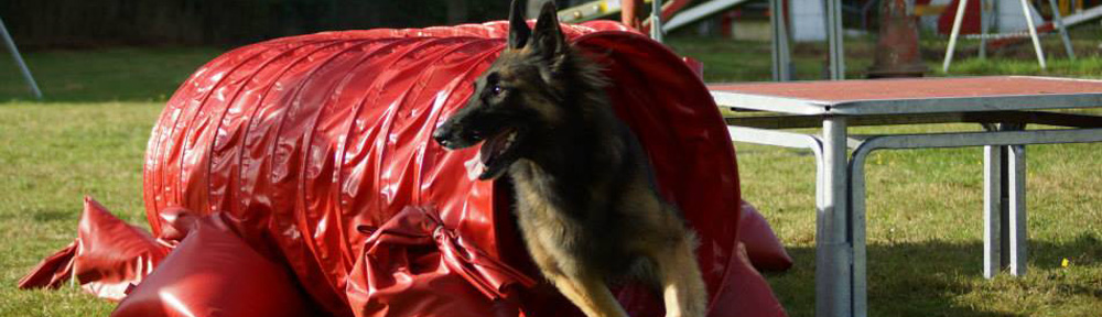 Club d'Éducation Canine de Brocéliande